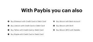 Paybis review info