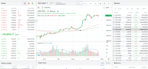 binaryx review