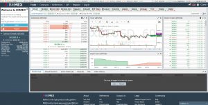 BitMEX Live Trading