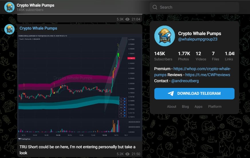 Crypto Whale Pumps