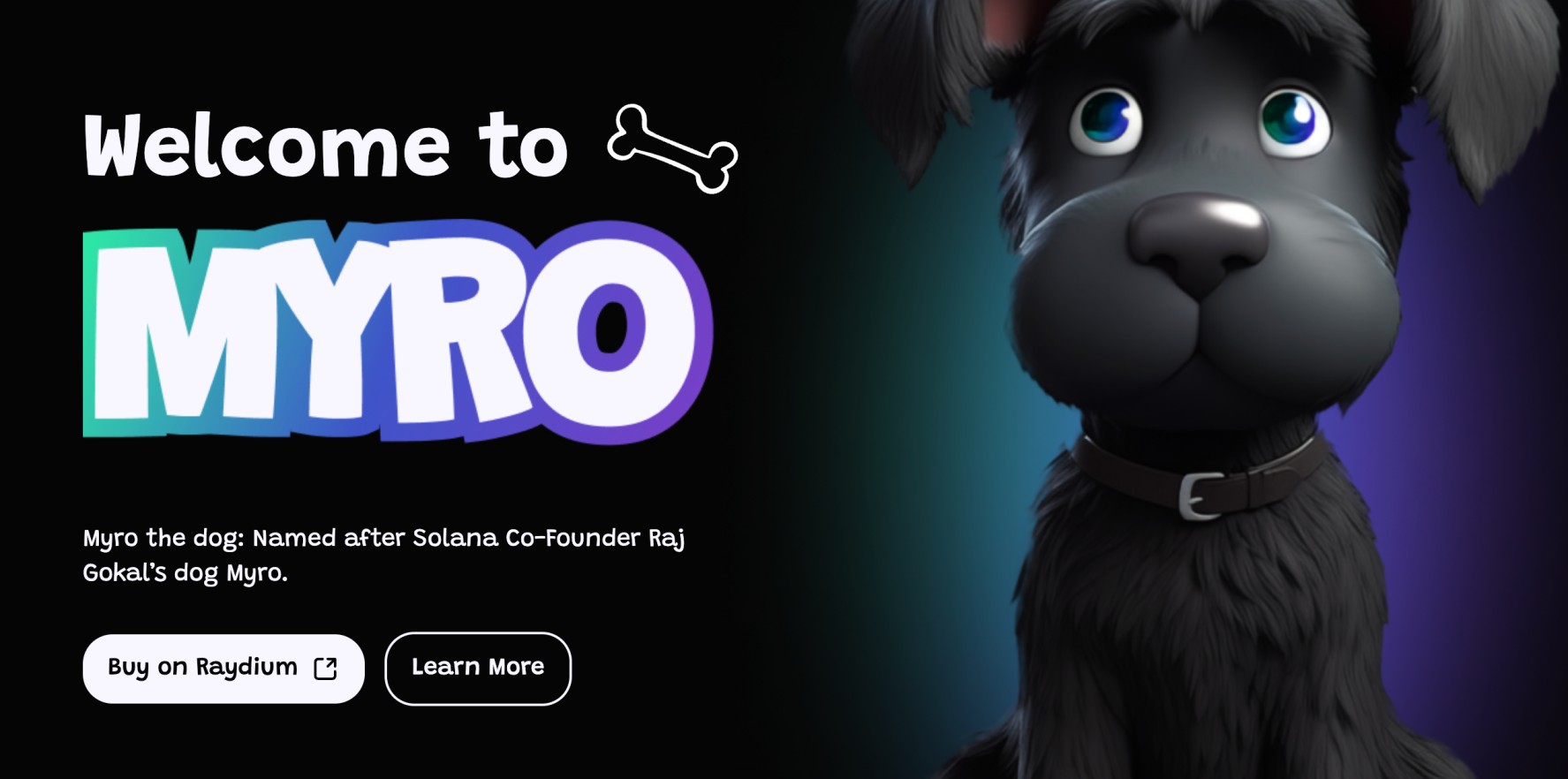 What is Myro crypto?