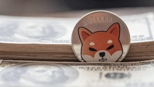 How to Buy Shiba Inu Coin in 2024 – Easy Guide