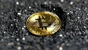 Ordinals Trader Recovers Bitcoin After Fat-Fingered NFT Purchase