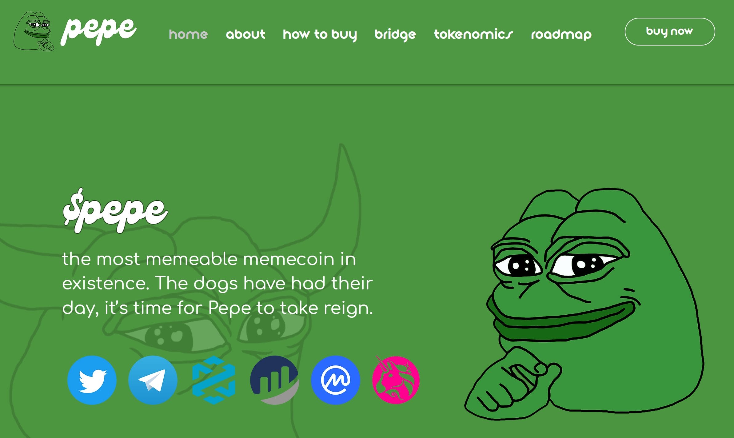The website homepage of Pepe, a popular meme crypto