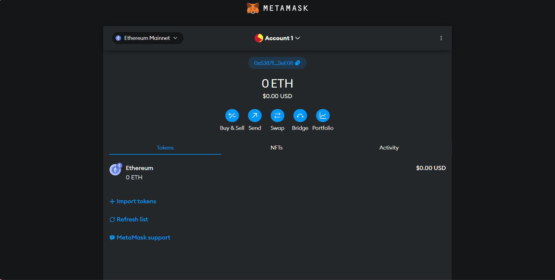 homepage for metamask