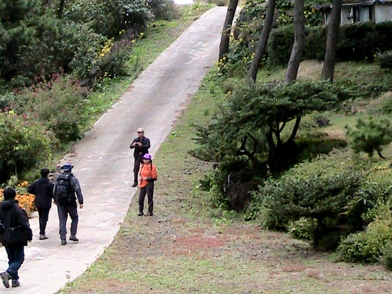 Excursionistas en el sendero Jeju Olle.