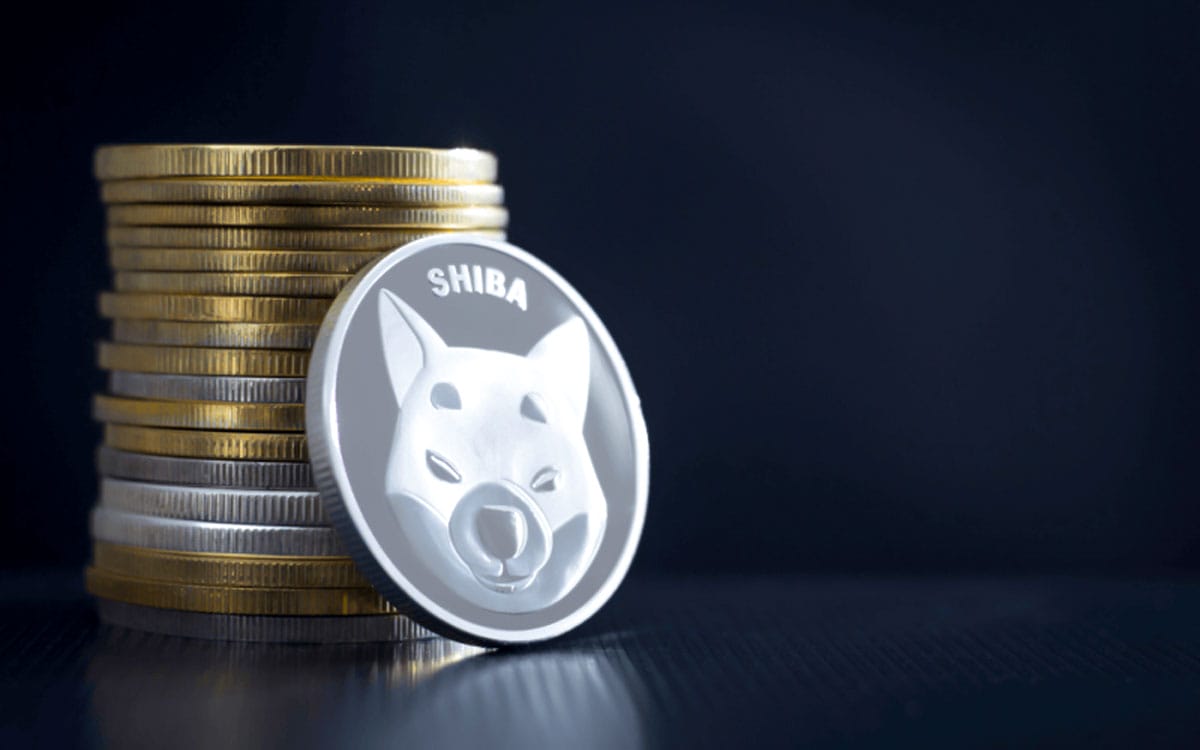 Is Shiba Inu a Good Investment in 2024?