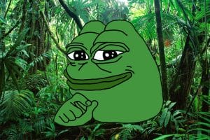 Pepe Coin Sets Record High, AI Meme Coin Secures $3M Funding for Future Growth