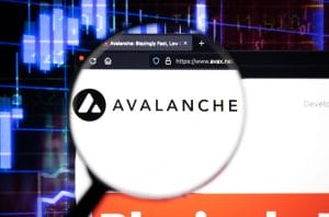 Avalanche and Chainlink Investors Pivot Towards Borroe Finance’s Presale