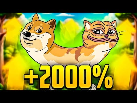 Dog Wif Cat Coin on Solana Set to Skyrocket 100x! Get in on the Next Big Meme Craze Now!