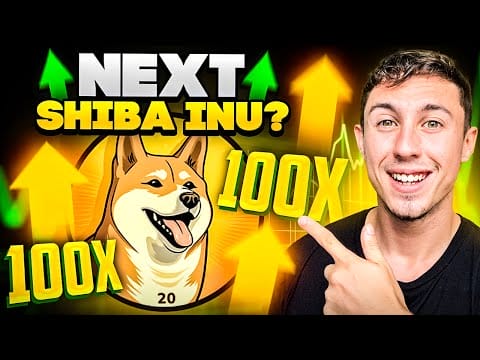 NEW 100X Potential Meme Coin – NEXT SHIBA INU or DOGE COIN?!
