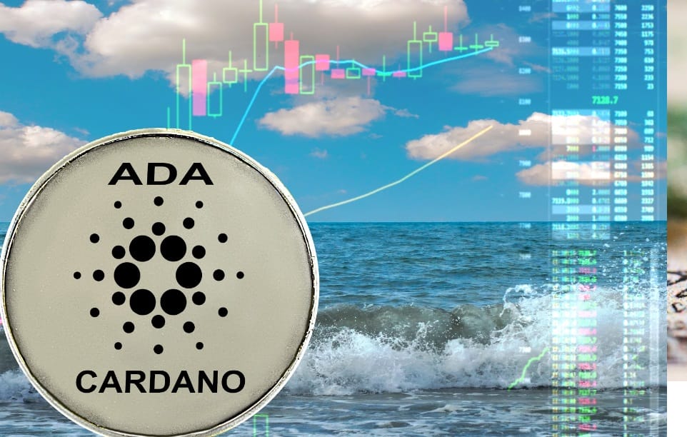 Cardano