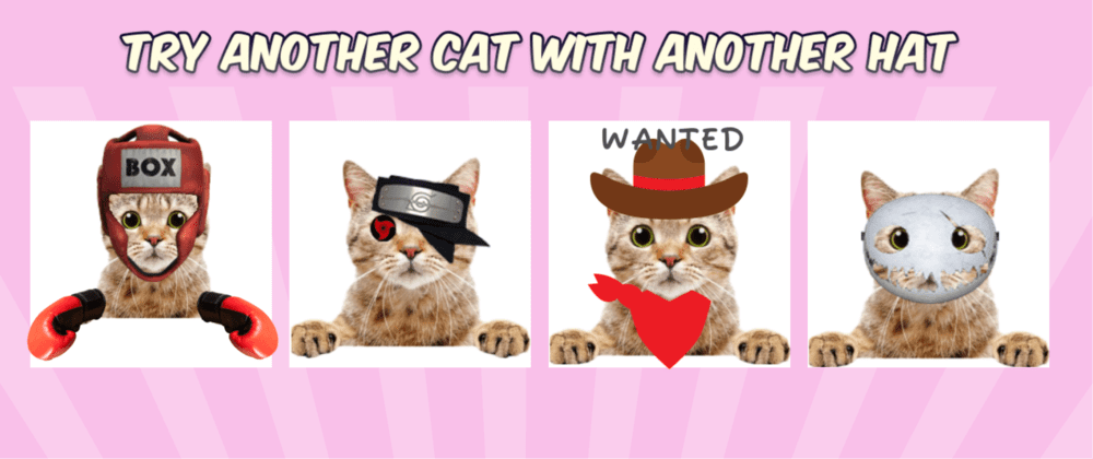 Catwifhat Viral Cat Memes