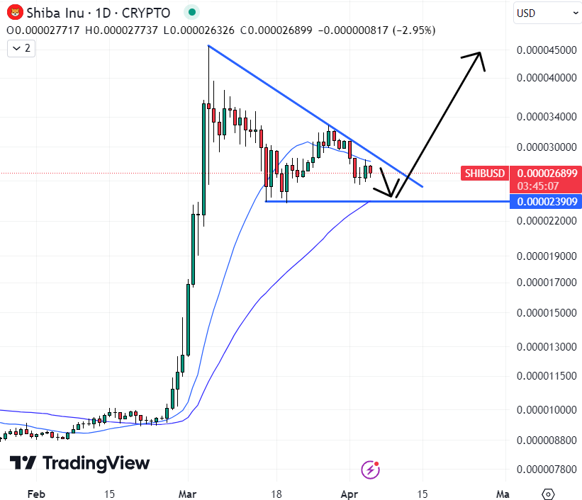 If the Shiba Inu price can find strong support at $0.000024, it could soon break its recent downtrend. 