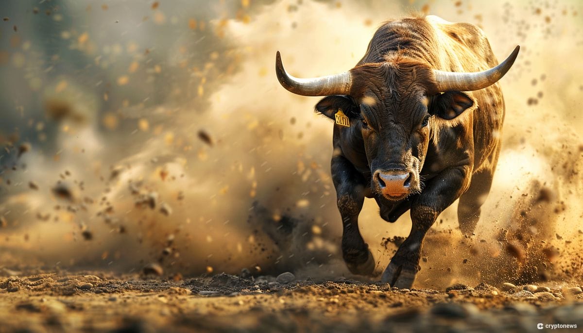 Bitcoin’s On-Chain Bull Run Losing Steam