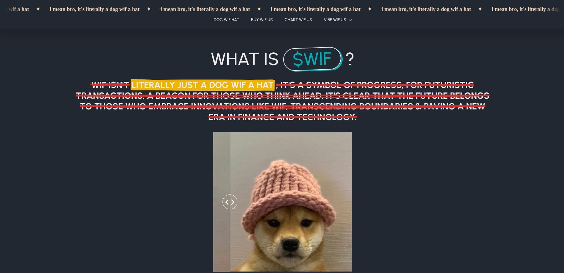 dog wif hat meme coin homepage