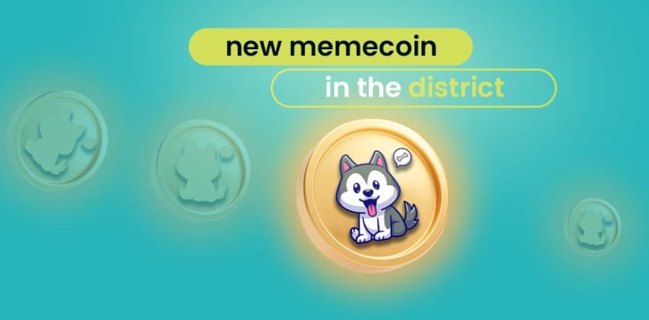 Rexio Meme Coin
