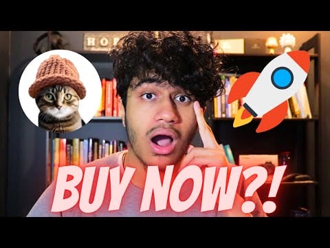 CAT WIF HAT WILL 100X!? CAT WIF HAT IS GOING CRAZY!! $CWIF UPDATE