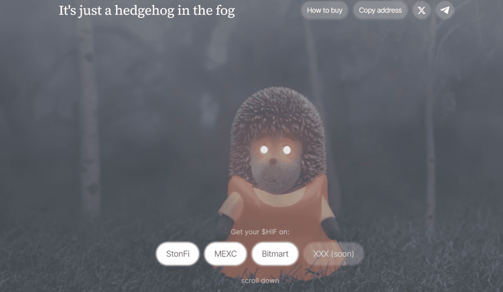 Hedgehog in the Fog TON Meme Coin