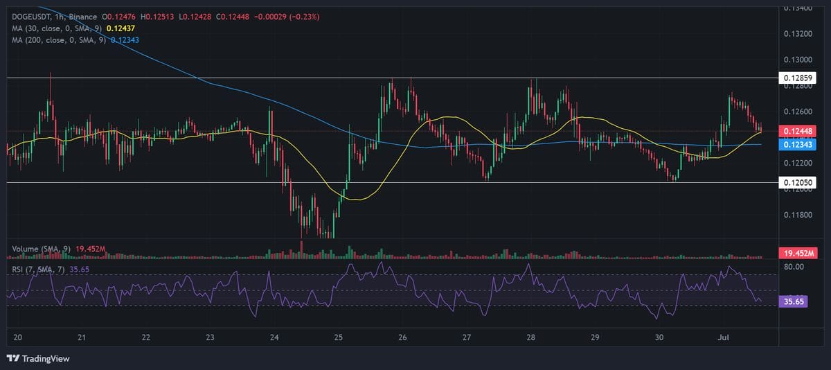 Dogecoin price 1H chart with technical analysis. Source: Binance.