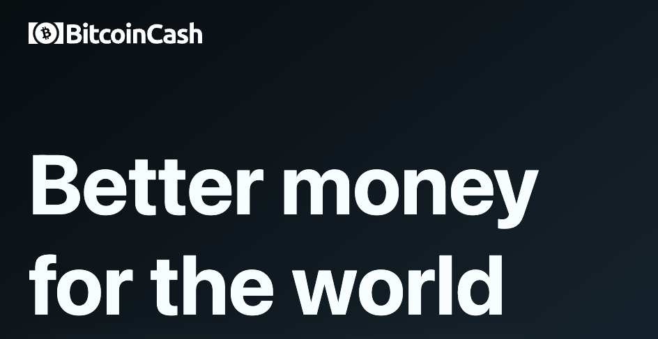 What is Bitcoin Cash