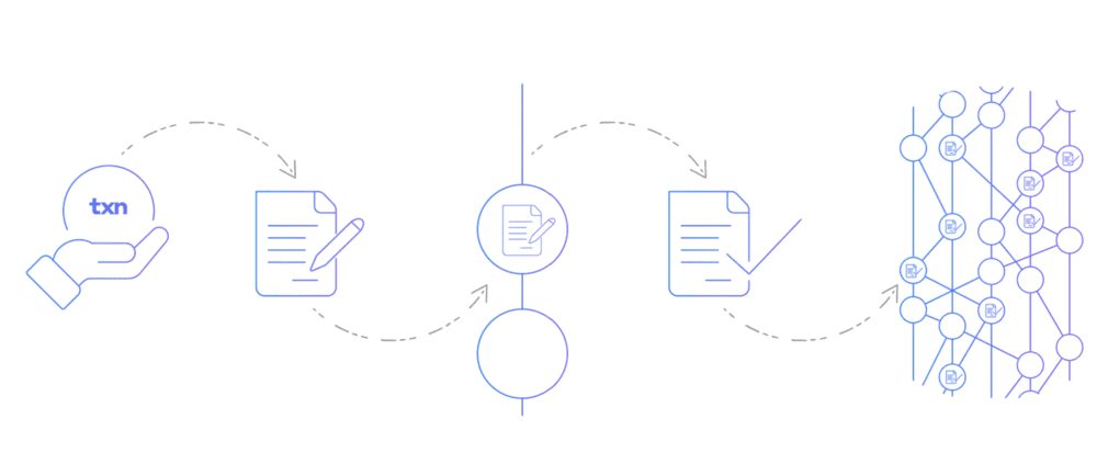 Diagram of Hedera transaction