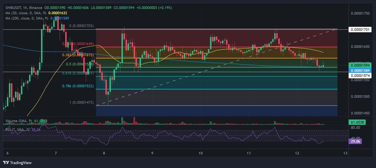 Shiba Inu Chart With technical analysis. Source: Binance. 