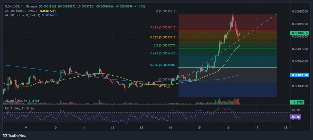 FLOKI Price Soars 21% In 24 Hours: Is A Major Breakout Ahead?