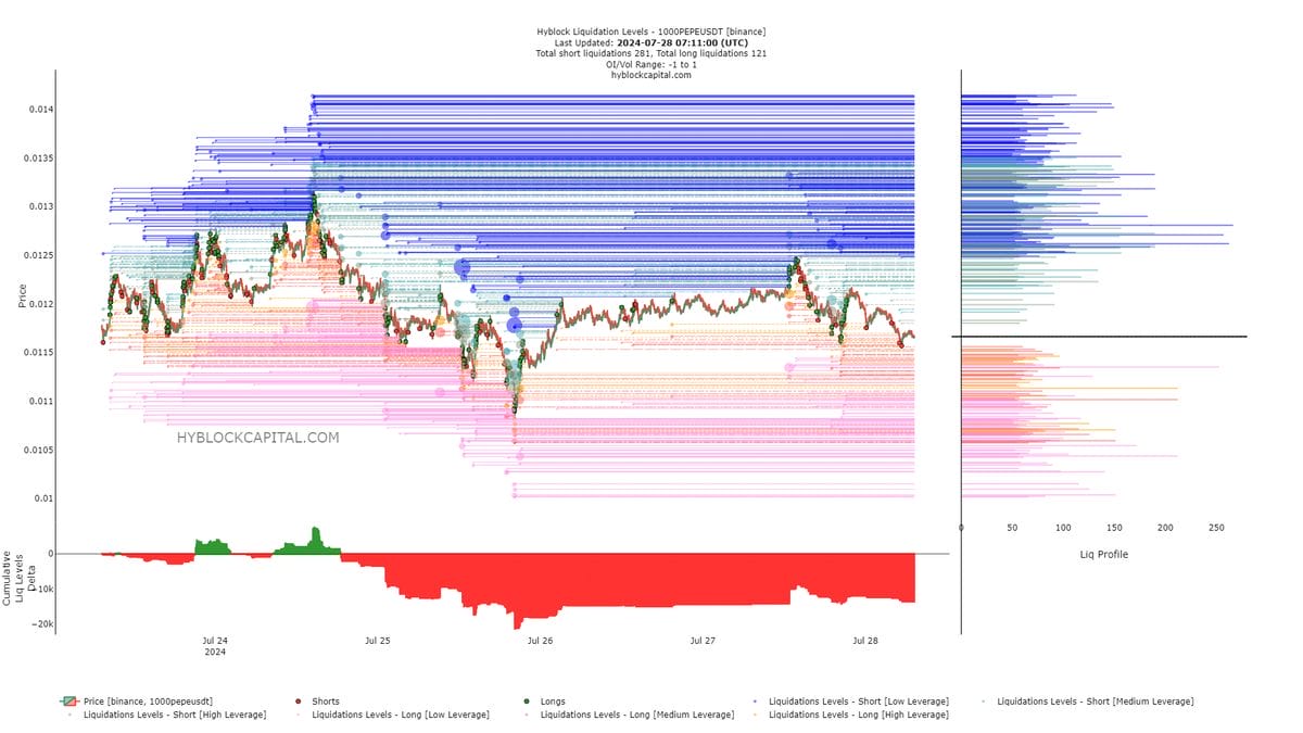 Pepe liquidation levels chart. Source: Hyblock.