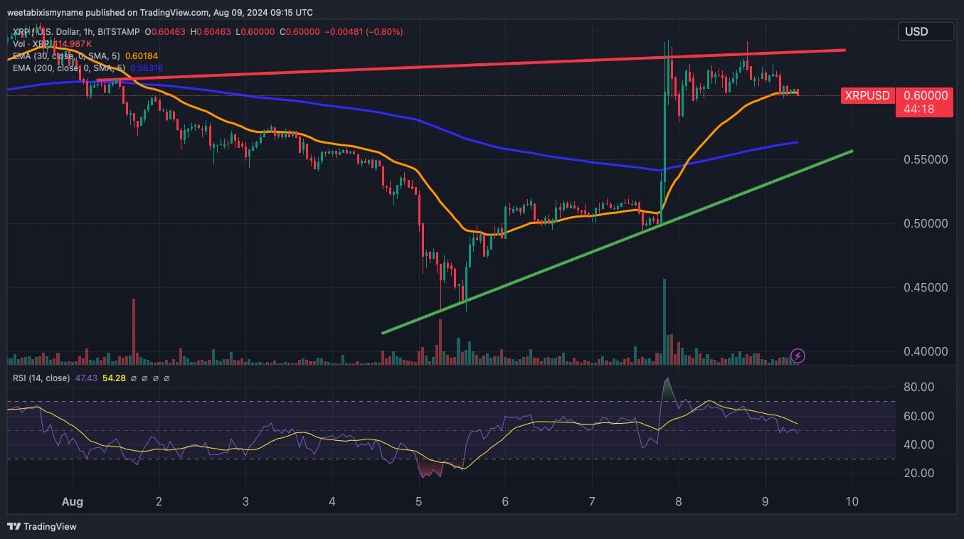 Ripple Hadapi Tantangan Baru: SEC Pertimbangkan Banding Atas Putusan Denda $125 Juta: Prakiraan