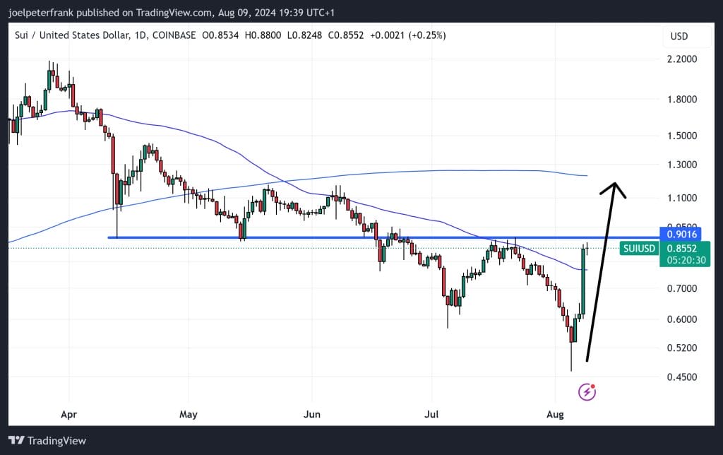 Top Crypto Performers Today August 9 – Celestia, Sui, Zcash