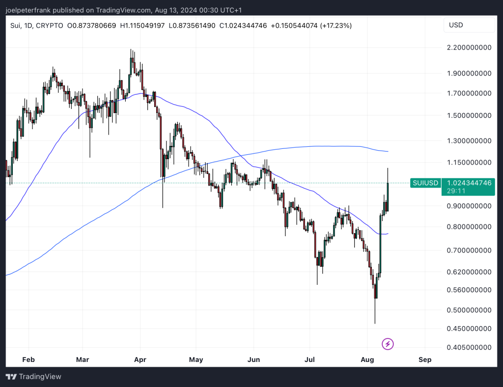 Top Crypto Performers Today - 1000SATS, Sui, ORDI