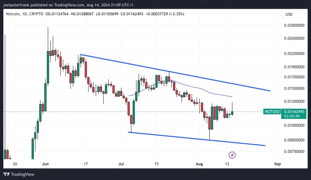 Top Crypto Performers Today August 14 – Toncoin, Aave, Notcoin