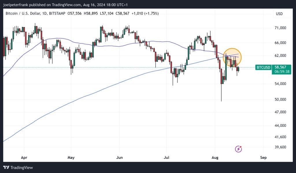 Top Crypto Performers Today August 16 – Tether Gold, Tron, Bittensor