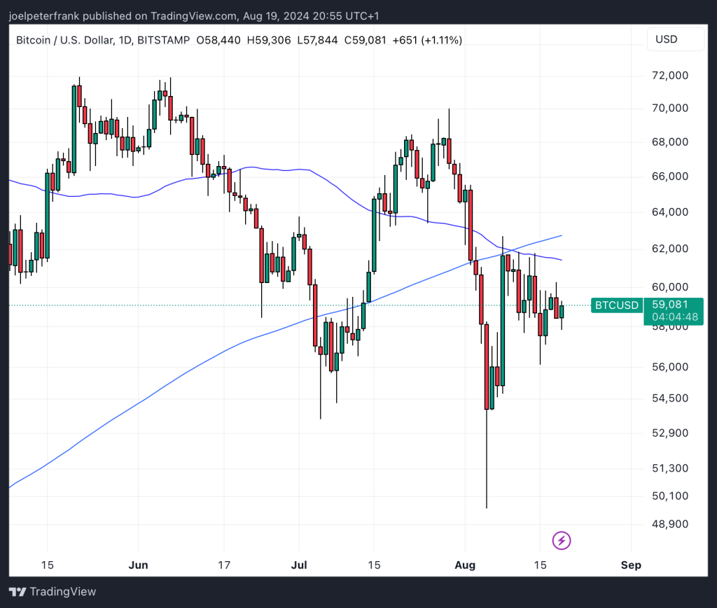 Top Crypto Performers Today - Toncoin, XRP, Aave