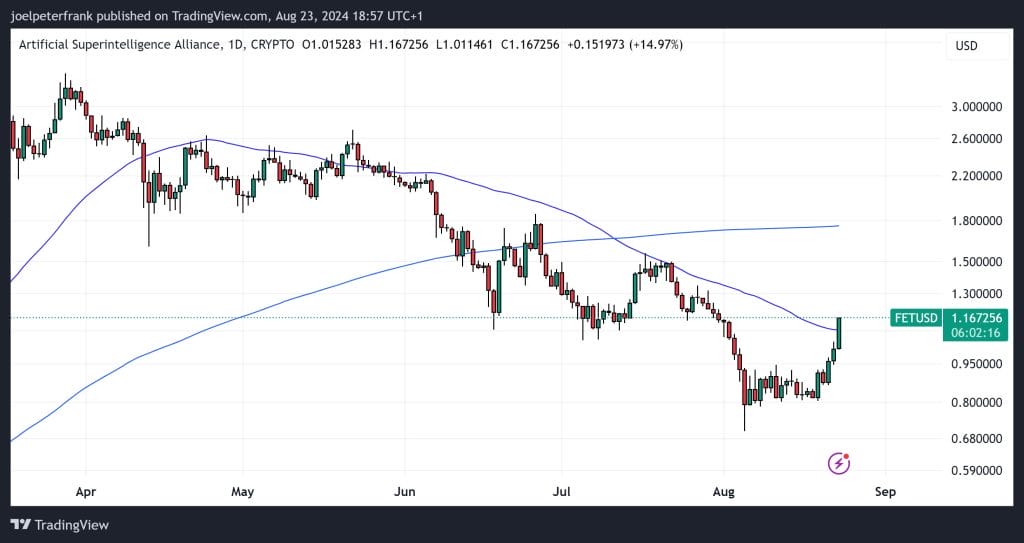 Top Crypto Performers Today August 23 – Sui, Popcat, FET