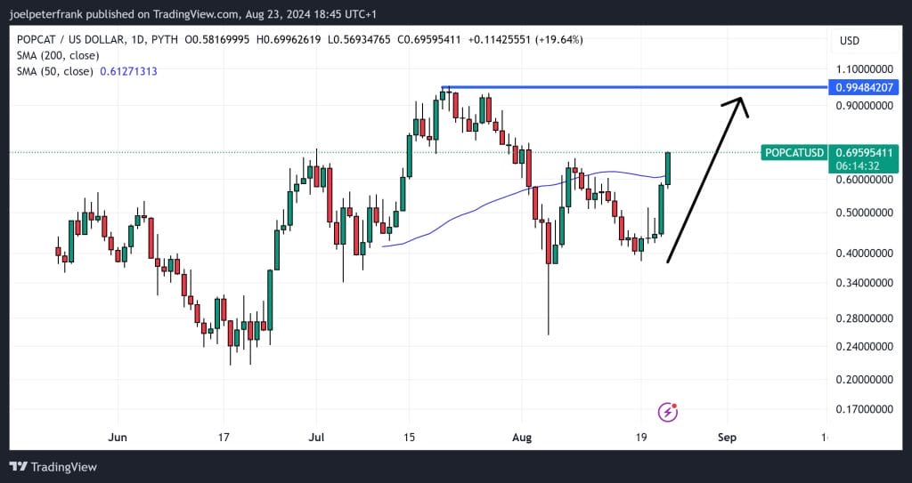 Top Crypto Performers Today August 23 – Sui, Popcat, FET