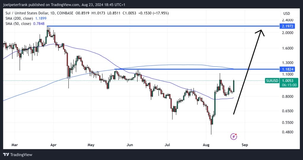 Top Crypto Performers Today August 23 – Sui, Popcat, FET