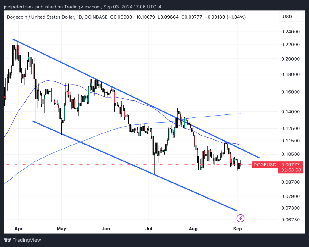 Dogecoin Community Flocks to Exciting “11 Cent” ICO