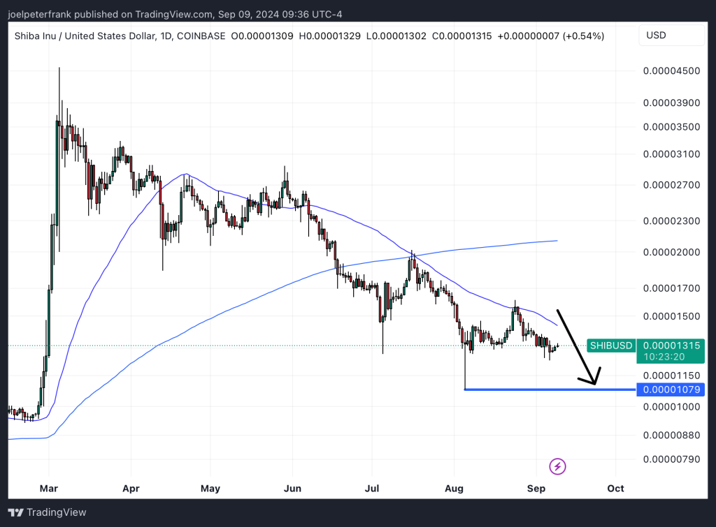 Shiba Inu Holders Back New Meme Coin Project