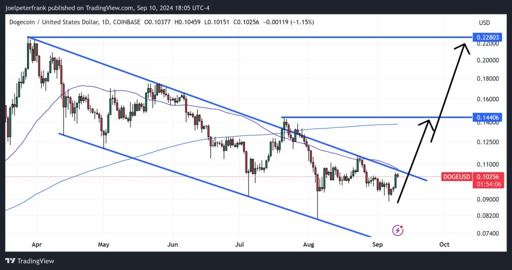 Did Elon Musk Just Spark a Dogecoin Price Rally? 