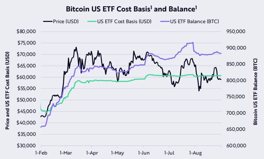 US spot Bitcoin ETF data. Source: ARK Invest.