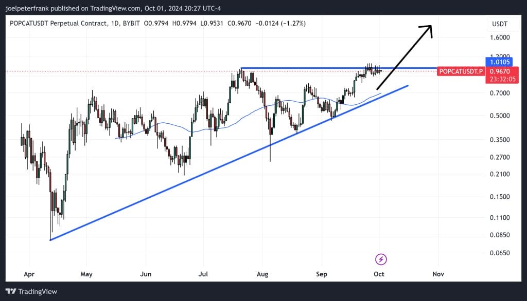 The Popcat (POPCAT) price is flirting with a major breakout to the north of the $1.0 level, after probing with it over the course of the last week.