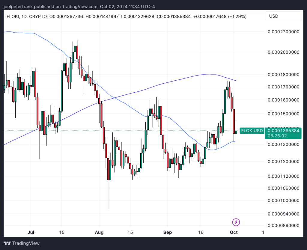 Floki Price Falls 10% After Iran’s Missile Strike on Israel 