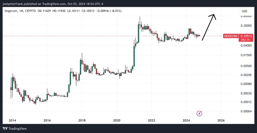 Dogecoin Price Analysis: Musk's DOGE Gains Traction in Retail Stores 