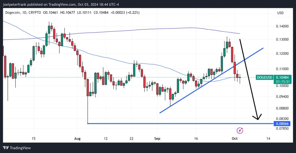 Dogecoin Price Analysis: Musk's DOGE Gains Traction in Retail Stores 