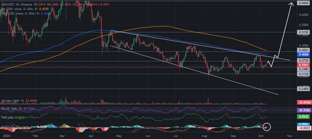 ADA / USDT 1D chart, falling wedge pattern. Source: Binance.