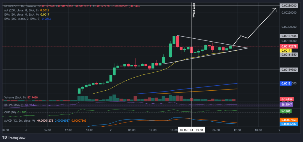 NEIRO / USDT 1H chart, symmetrical triangle pattern. Source: Binance.