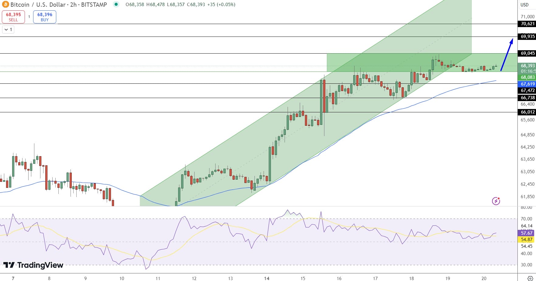 BTC/USD - Analisis Harga Bitcoin: Investor Jangka Pendek Siap Dorong BTC Menuju $75,000
