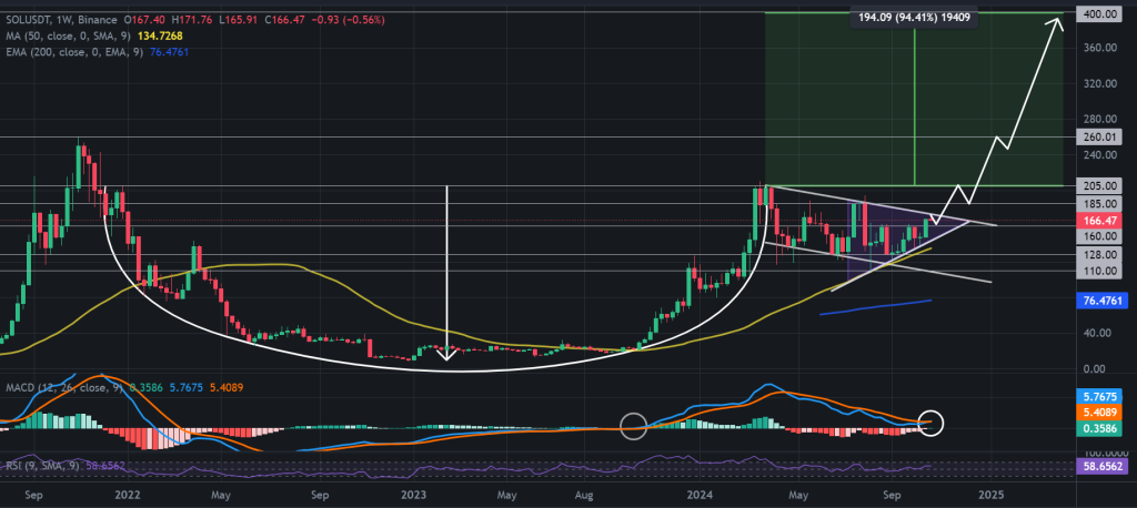 SOL / USDT 1W chart, symmetrical triangle within cup and handle pattern. Source: Binance. 